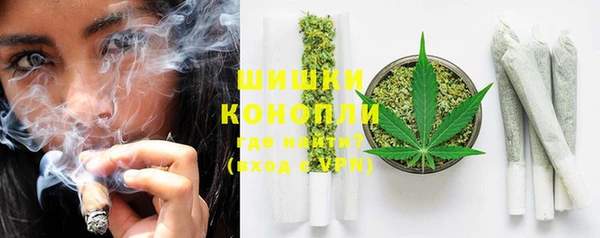 бошки Бронницы