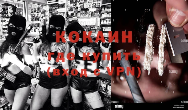 бошки Бронницы