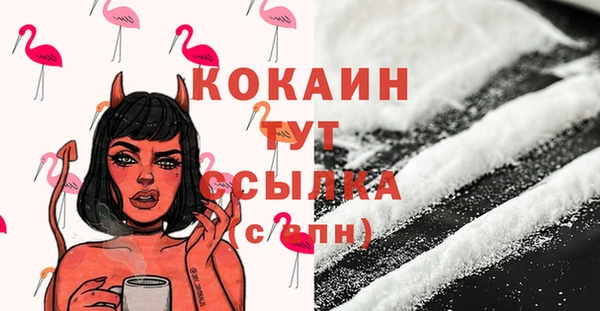 бошки Бронницы