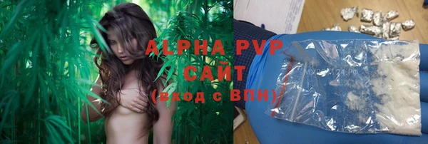 прущая мука Бородино