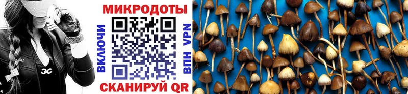 дарк нет формула  Ачхой-Мартан  Галлюциногенные грибы прущие грибы  наркошоп 