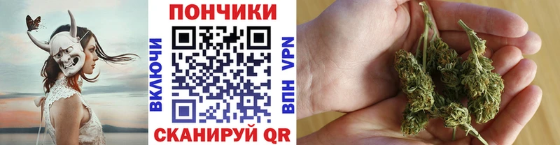 Конопля конопля Ачхой-Мартан