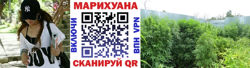 OMG ONION  Ачхой-Мартан  Канабис Bruce Banner 